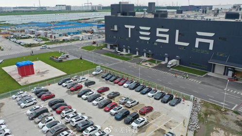 或?yàn)闋I銷 特斯拉上海工廠現(xiàn)神秘空投箱