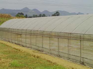 貴陽驚濤鋼結(jié)構(gòu)|貴陽卷閘門安裝|貴陽平式活動板房|貴陽輕鋼廠房|貴州活動板房安裝|貴州網(wǎng)架結(jié)構(gòu)|貴陽幕墻玻璃制作 活動板房價格 - 貴州驚濤鋼結(jié)構(gòu)工程
